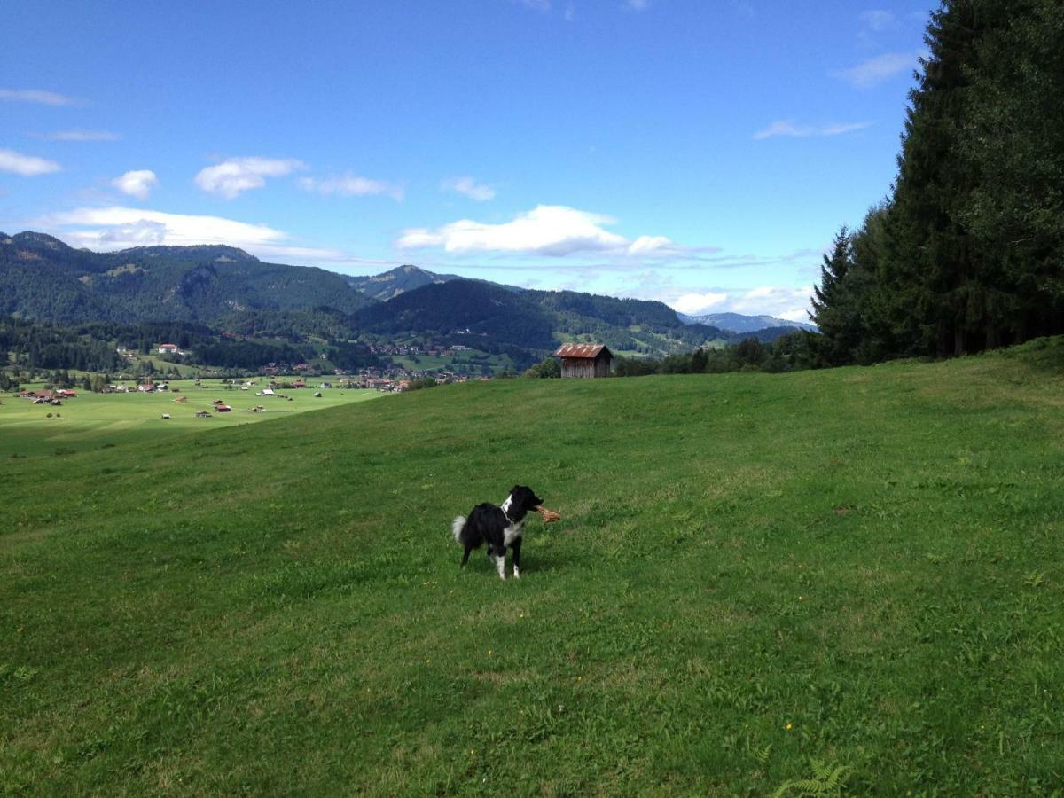 Geigers Ferienhaus Tiefenbach bei Oberstdorf Kültér fotó