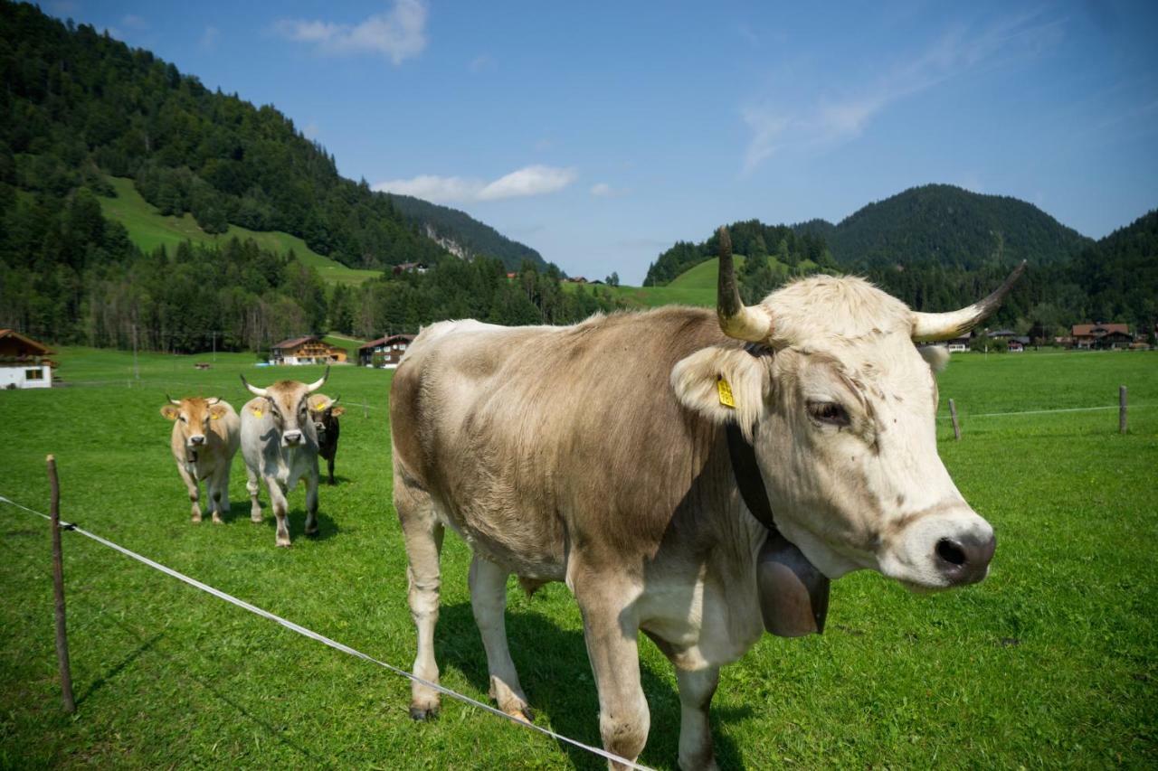 Geigers Ferienhaus Tiefenbach bei Oberstdorf Kültér fotó